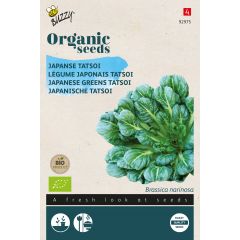 Organic Tatsoi (Bio) zaden Buzzy