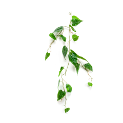Anthurium vine 110 cm kunstplant Emerald
