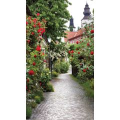 Alley Roses 70x130cm Tuinschilderij Customize-it