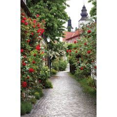 Alley Roses 90x140cm Tuindoek Customize-it