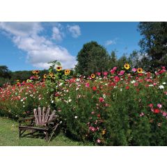 Bloemen stoel 70x50cm Tuinschilderij Customize-it