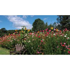 Bloemen stoel 130x70cm Tuinschilderij Customize-it