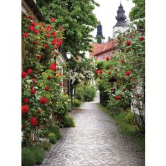 Alley roses 50x70cm Tuinschilderij Customize-it