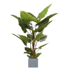 Allocasia groen 140 cm kunstplant Oosterik Home