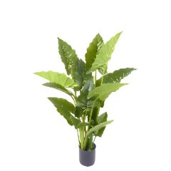 Allocasia groen 110 cm kunstplant Oosterik Home