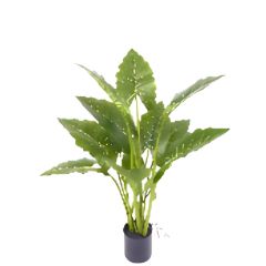 Allocasia groen 80 cm kunstplant Oosterik Home