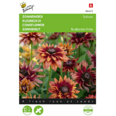 Zaden zonnehoed sahara 15 zaden Buzzy