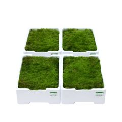 https://cdn.warentuin.nl/media/catalog/product/cache/c4ccdc3289984973330b94303da26677/m/o/mos4.jpg