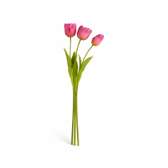 https://cdn.warentuin.nl/media/catalog/product/cache/c4ccdc3289984973330b94303da26677/t/u/tulproze1.png