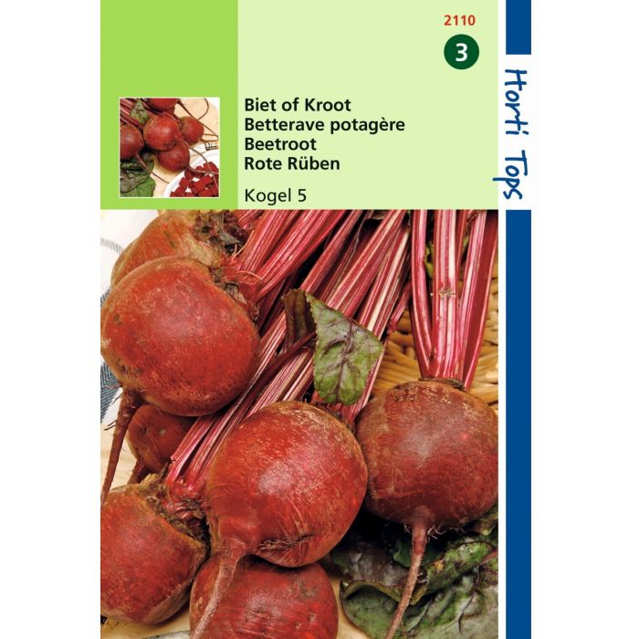 Saatgut Rote Beete Bullet 5 - Loki Hortitops