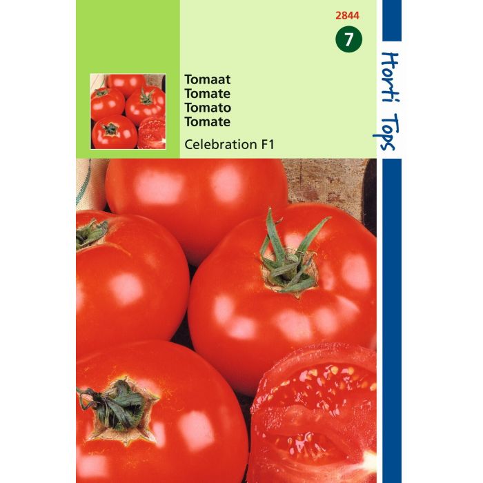 Saatgut Tomaten Celebration (vh Luxor) F1 Hortitops