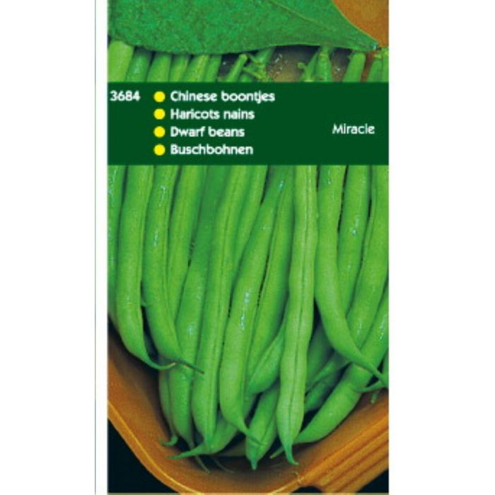 wiesenmischung saatgut Typ B1 main image 0