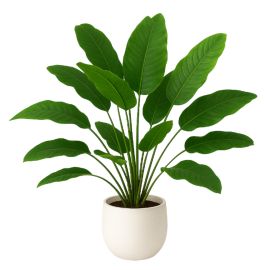https://cdn.warentuin.nl/media/catalog/product/cache/e2bdb4c1c9d6c2628f40ea5dcb293bcd/4/_/4.jpg