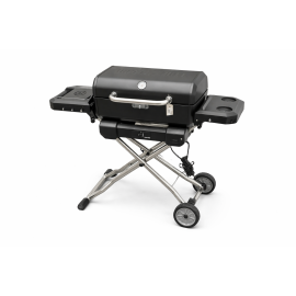 https://cdn.warentuin.nl/media/catalog/product/cache/e2bdb4c1c9d6c2628f40ea5dcb293bcd/b/b/bbq222.png