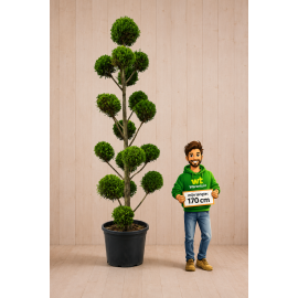 https://cdn.warentuin.nl/media/catalog/product/cache/e2bdb4c1c9d6c2628f40ea5dcb293bcd/d/c/dc78915e-169f-4b66-bbd5-869aaa70e613.png