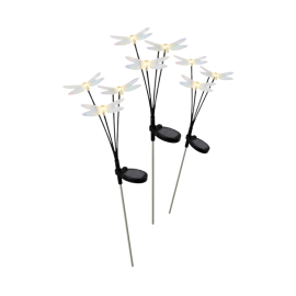 https://cdn.warentuin.nl/media/catalog/product/cache/e2bdb4c1c9d6c2628f40ea5dcb293bcd/d/i/dive3141000012032.png