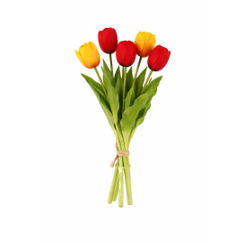 https://cdn.warentuin.nl/media/catalog/product/cache/e2bdb4c1c9d6c2628f40ea5dcb293bcd/r/o/roodgeeltupl1.png