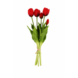 https://cdn.warentuin.nl/media/catalog/product/cache/e2bdb4c1c9d6c2628f40ea5dcb293bcd/t/u/tulp1.png