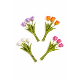 https://cdn.warentuin.nl/media/catalog/product/cache/e2bdb4c1c9d6c2628f40ea5dcb293bcd/t/u/tulpen2.png