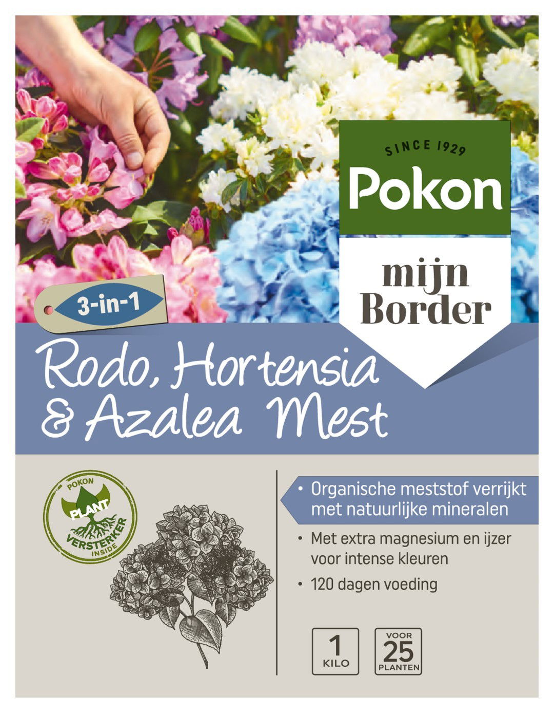 Hortensia Voeding 1kg Pokon