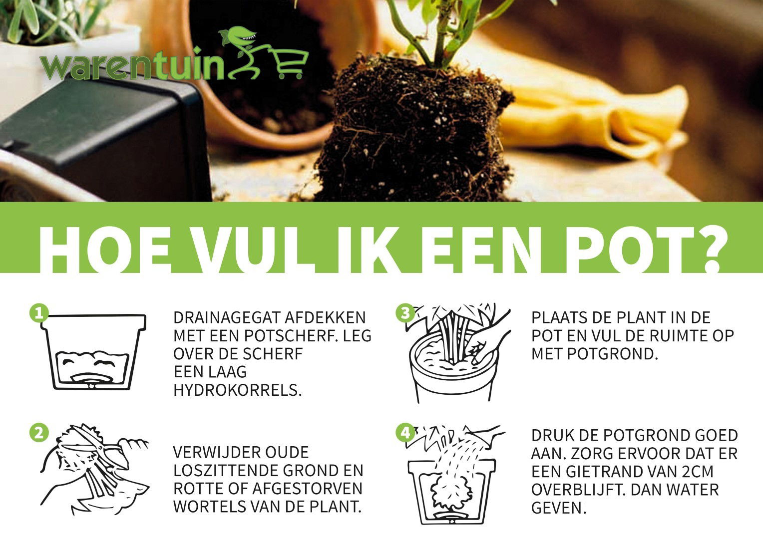 https://cdn.warentuin.nl/media/catalog/product/i/m/import_l_pot_planten_in_pot_2_60_2030.jpg