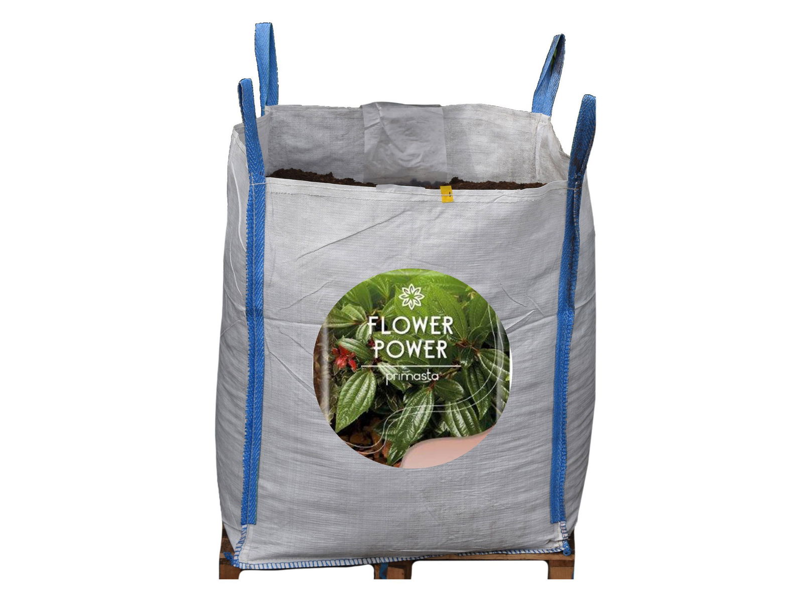 https://cdn.warentuin.nl/media/catalog/product/k/u/kuub_franse_boomschors_1m3_bigbag_warentuin_collection_10fa.jpg