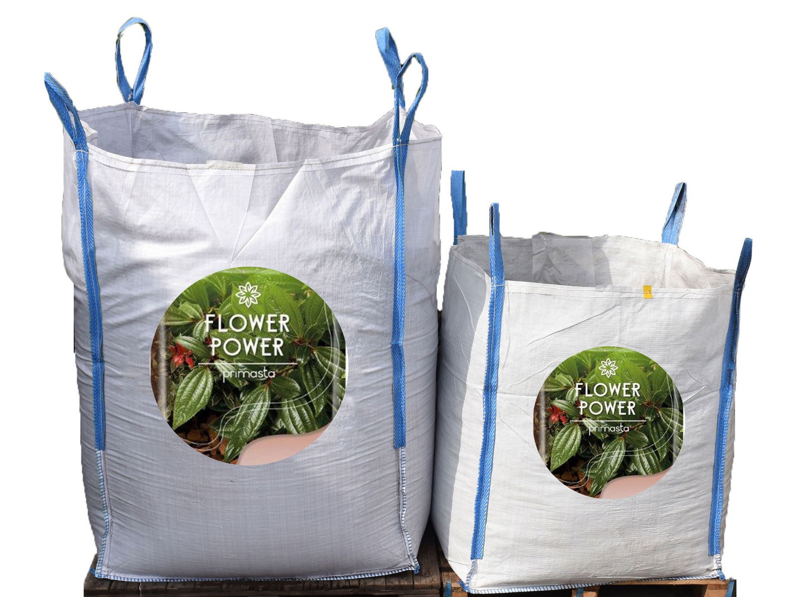 https://cdn.warentuin.nl/media/catalog/product/k/u/kuub_franse_boomschors_3m3_bigbag_warentuin_collection_9799.jpg