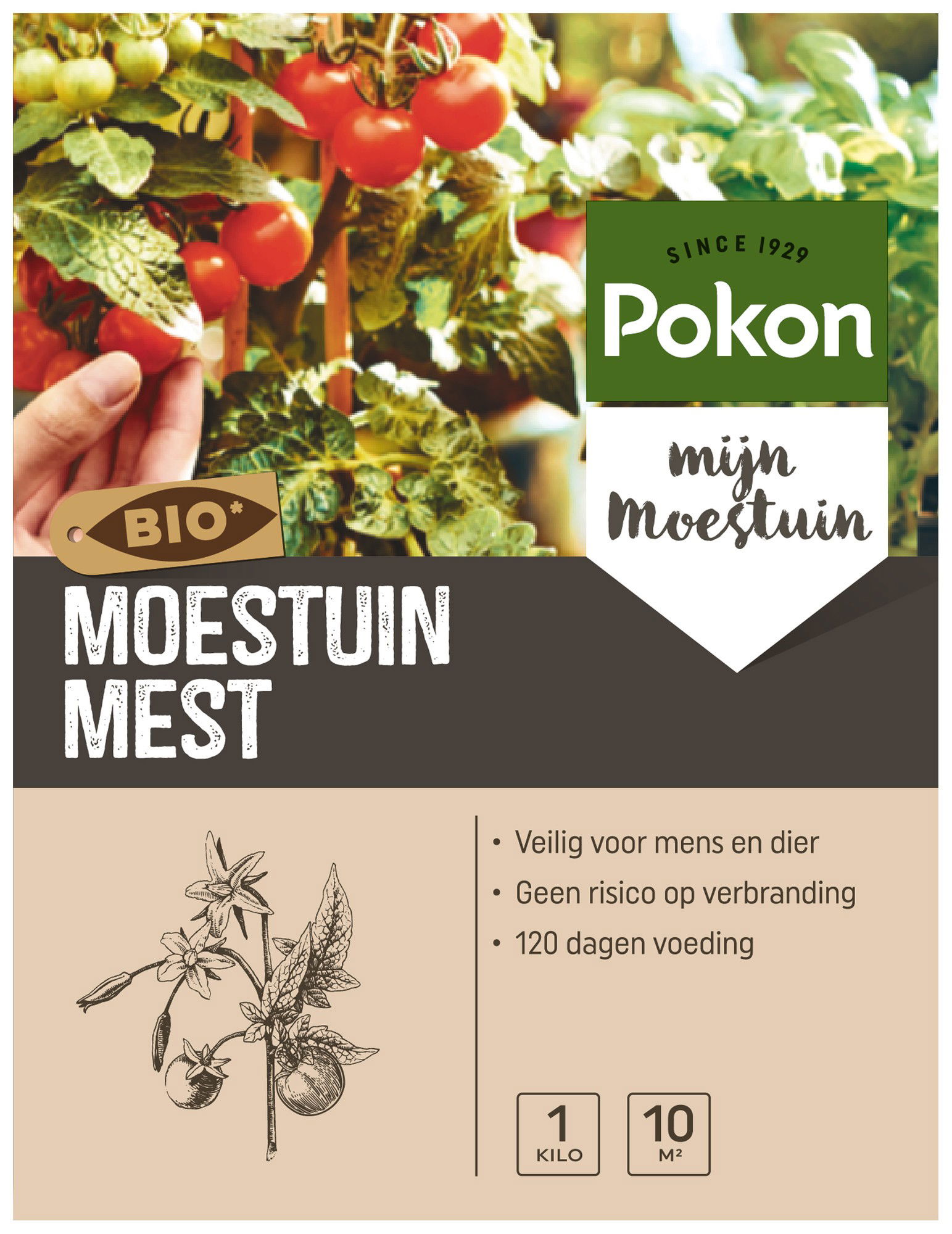 Moestuin Voeding 1kg Pokon