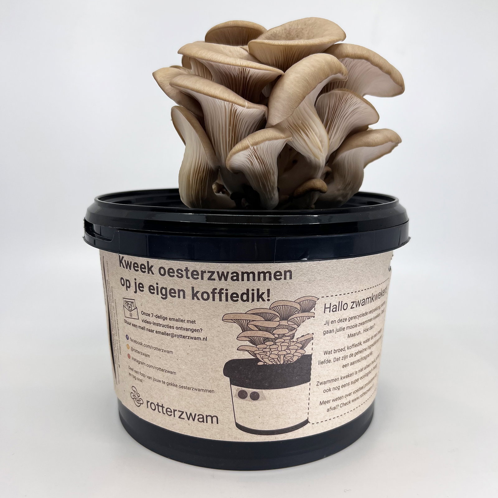 https://cdn.warentuin.nl/media/catalog/product/r/o/rotterzwam_growkit_witte_achtergrond_01_6469.jpg