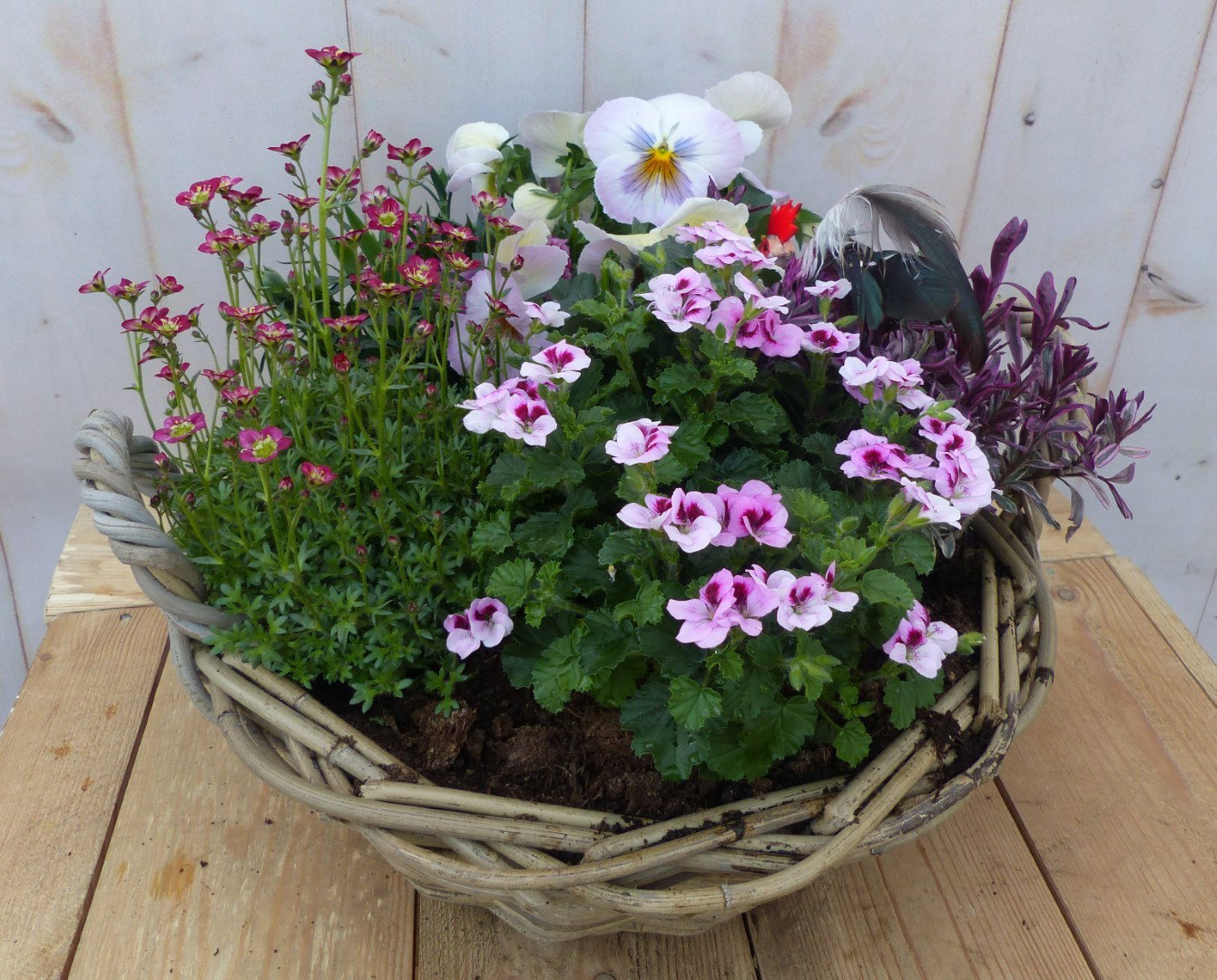 https://cdn.warentuin.nl/media/catalog/product/r/o/roze_voorjaarsbloeiers_in_mandje_30_cm_3d8e.jpg