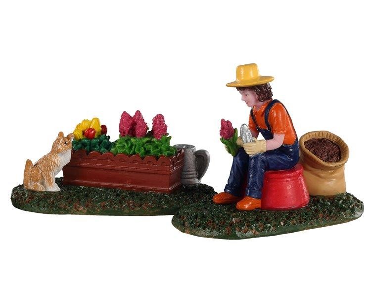 https://cdn.warentuin.nl/media/catalog/product/s/c/scan0728162029201_lemax_decoratie_garden_grooming_set_of_2_179a.jpg
