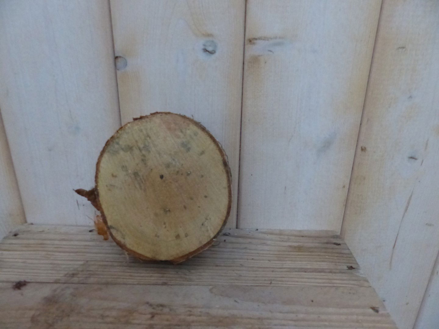https://cdn.warentuin.nl/media/catalog/product/s/c/schijf_hout_klein_tussen_de_15_en_25_cm_ongeveer_1__01d7.jpg