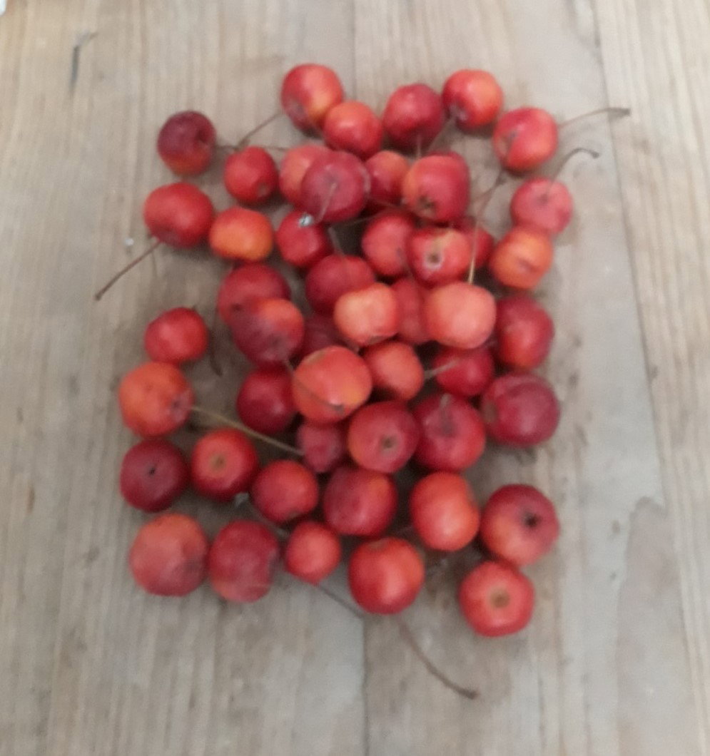 Sierappeltjes 1 schep Warentuin Natuurlijk - Warentuin natuurlijk