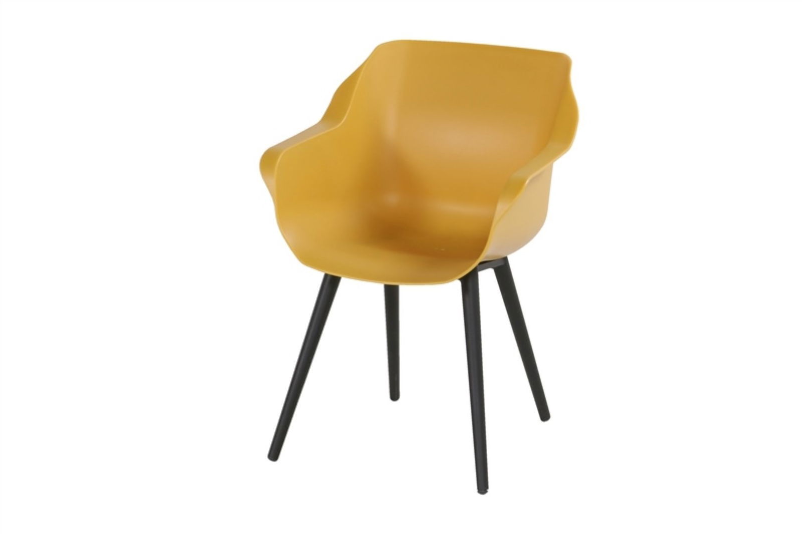 Sophie Studio Armchair - 