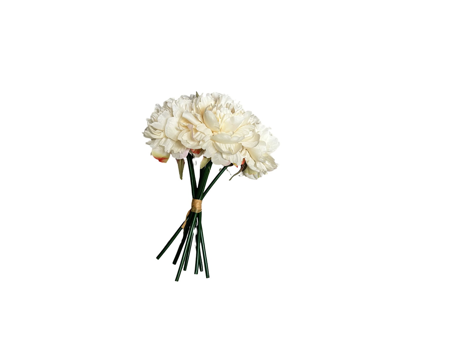 Peony bundle 30 cm 7 heads cream - Driesprong collection