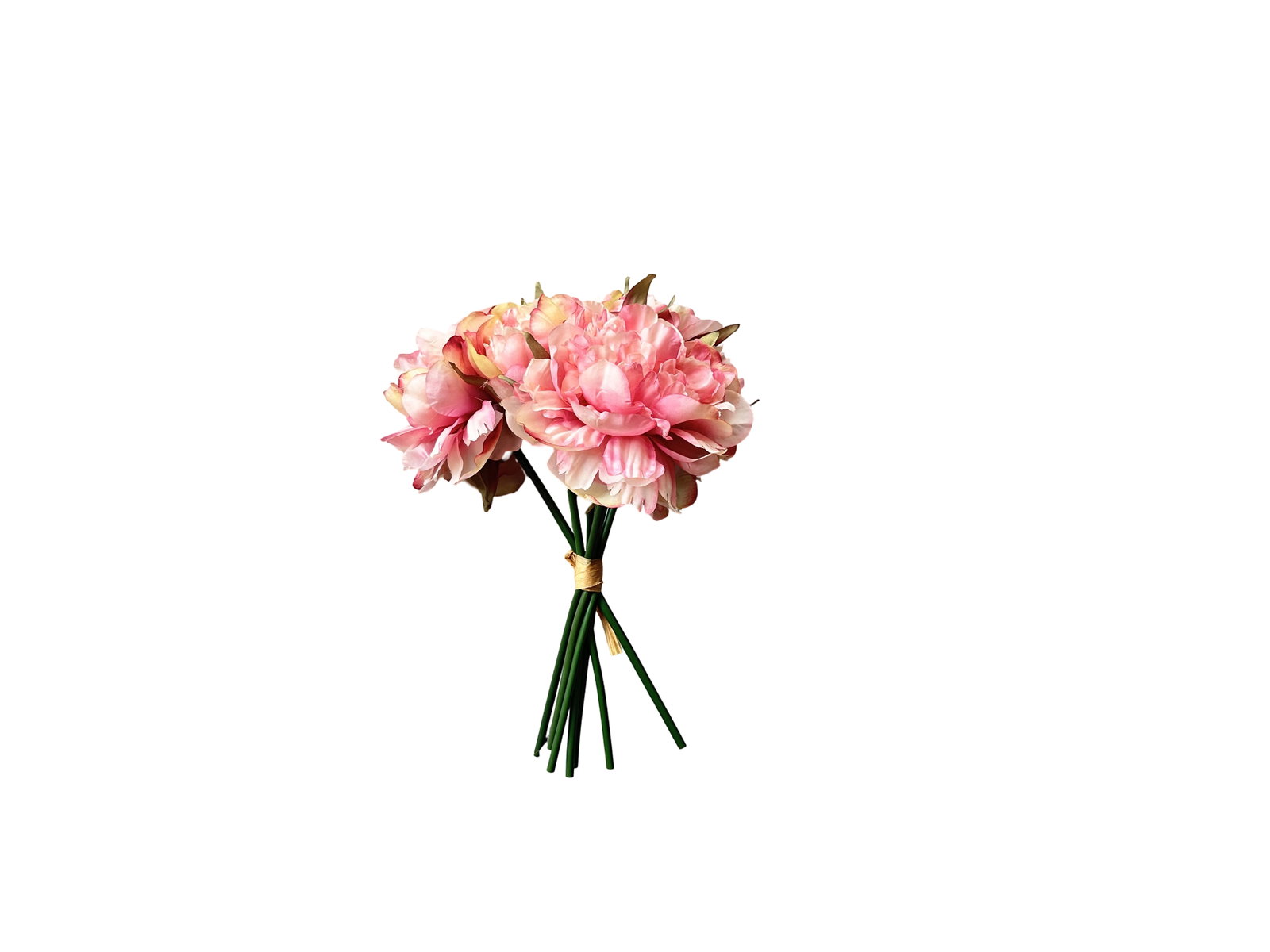 https://cdn.warentuin.nl/media/catalog/product/u/n/untitled_0__9__eccc.jpg