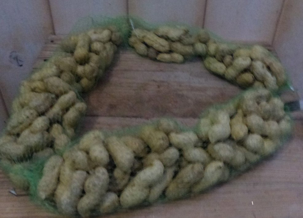 https://cdn.warentuin.nl/media/catalog/product/v/o/vogelvoer_pindastreng_2__84c2.jpg