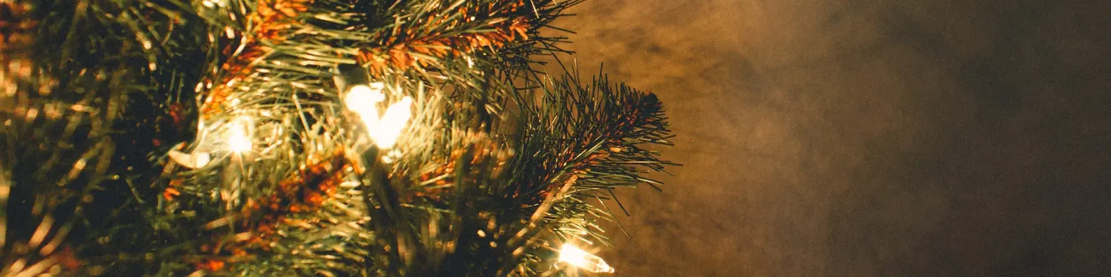 LED lampjes bomen