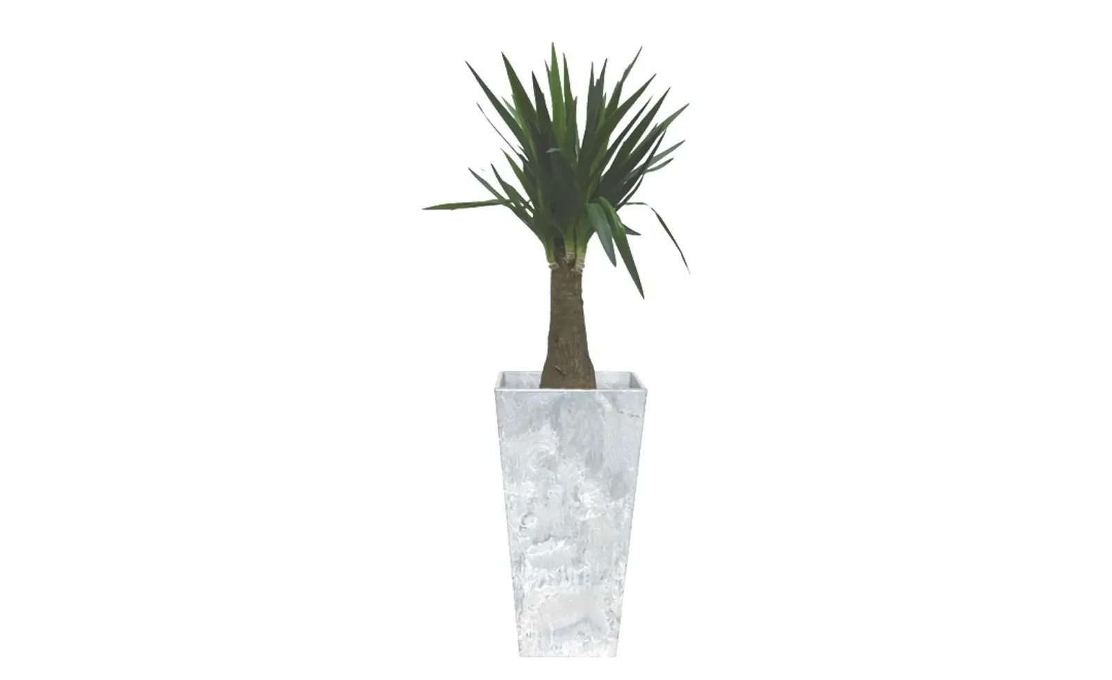 Kamerplant groot Yucca 90 cm in vaas Ella grijs 40 x 90 cm Artstone Warentuin Natuurlijk