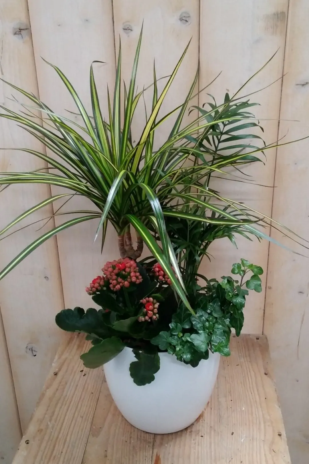Bont plantenbakje binnen witte pot Warentuin Natuurlijk
