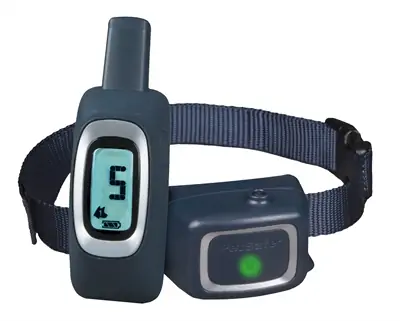 Dogtrainer met spray 300 meter PDT19-16397 PetSafe