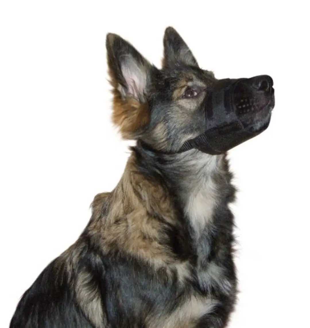 Mikki Muzzle muilband nr. 2 XL Company-of-animals Gebr. de Boon