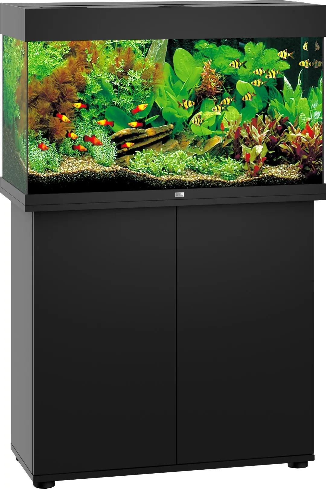 Juwel aquarium Rio 125 LED met filter zwart Juwel Gebr. de Boon