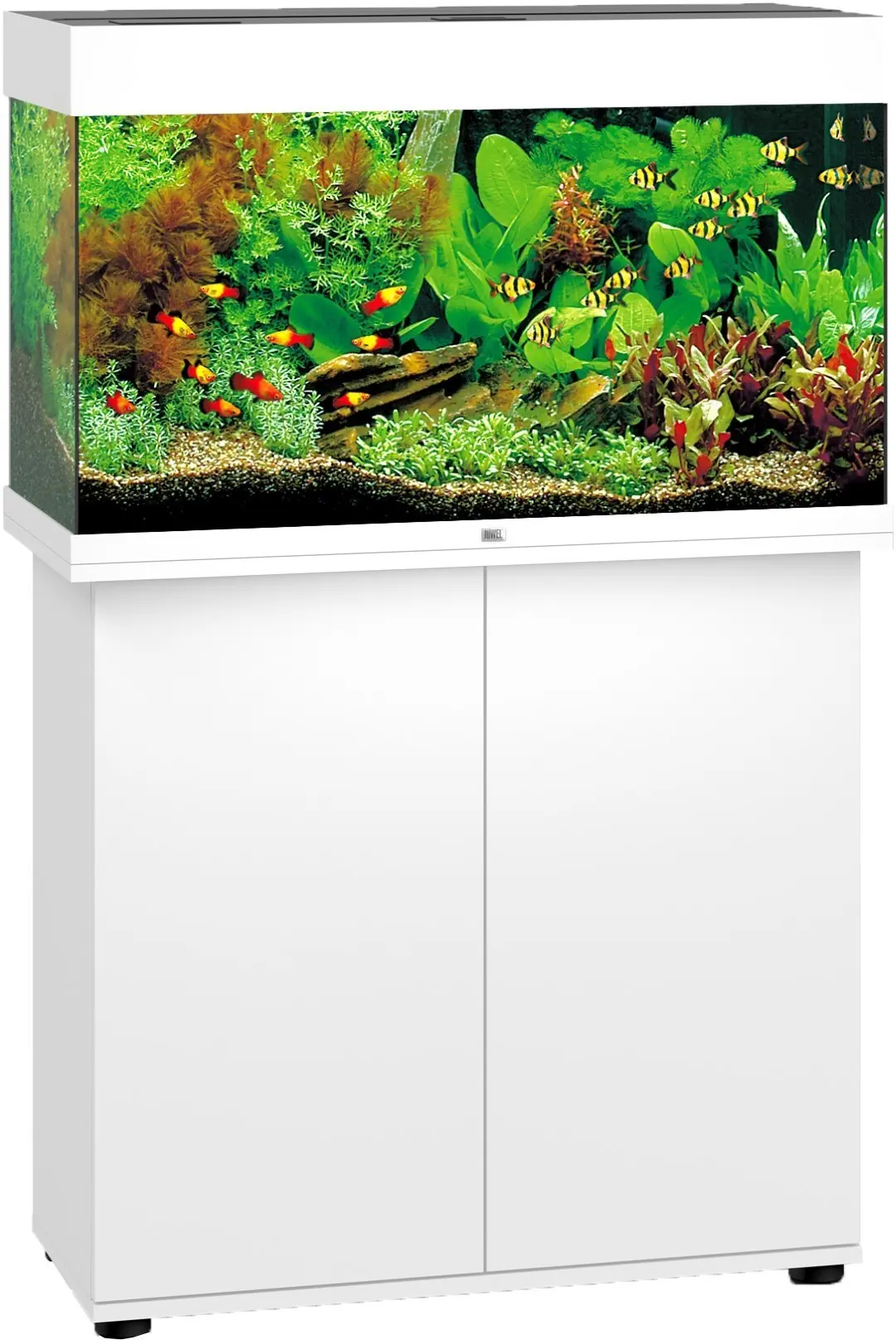 Juwel aquarium Rio 125 LED met filter wit Juwel Gebr. de Boon