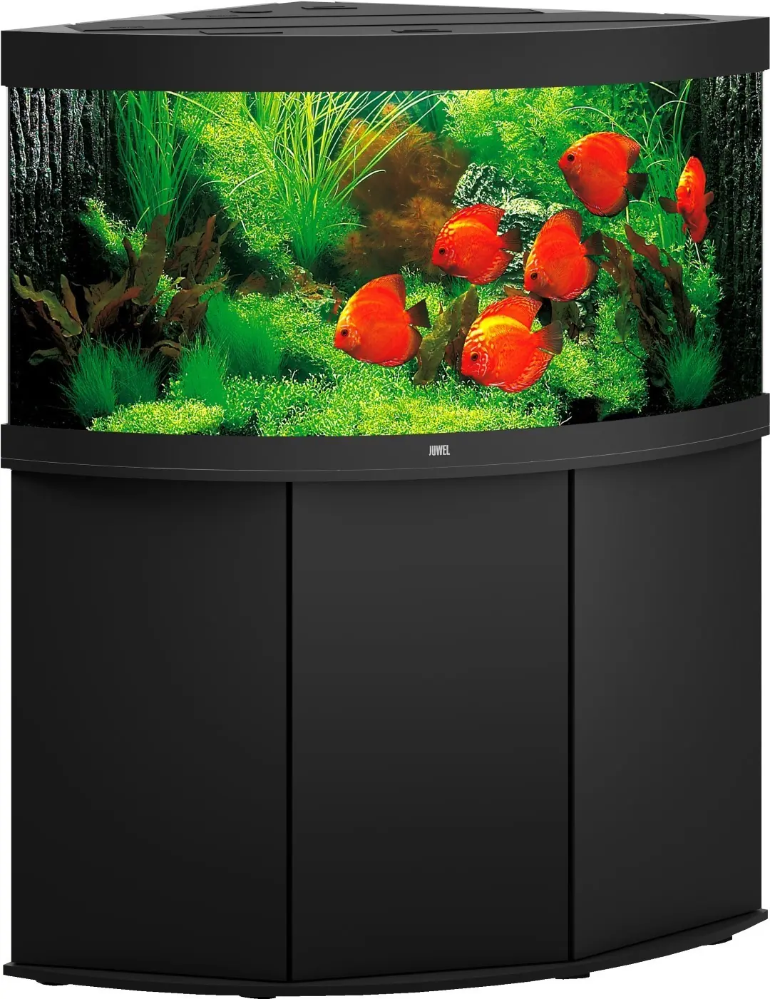 Juwel aquarium Trigon 350 LED met filter zwart Juwel Gebr. de Boon