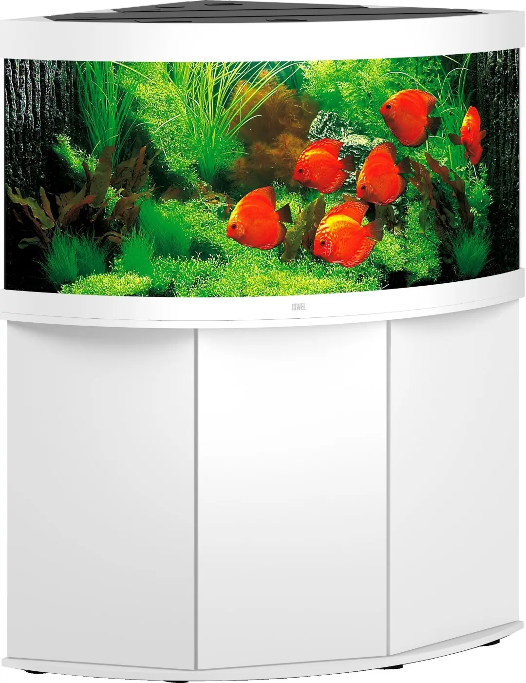 Juwel aquarium Trigon 350 LED met filter wit Juwel Gebr. de Boon