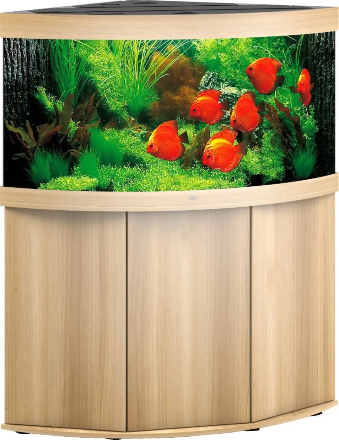 Juwel aquarium Trigon 350 LED met filter licht eiken Juwel Gebr. de Boon