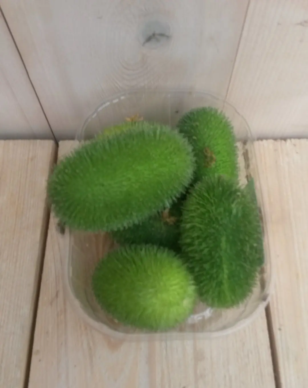 Decoratievruchten groen