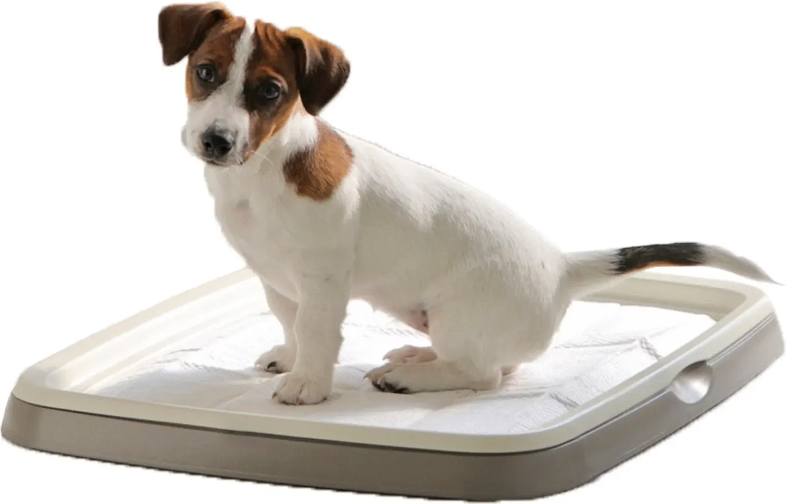 Savic puppy trainer starterkit medium Savic Gebr. de Boon