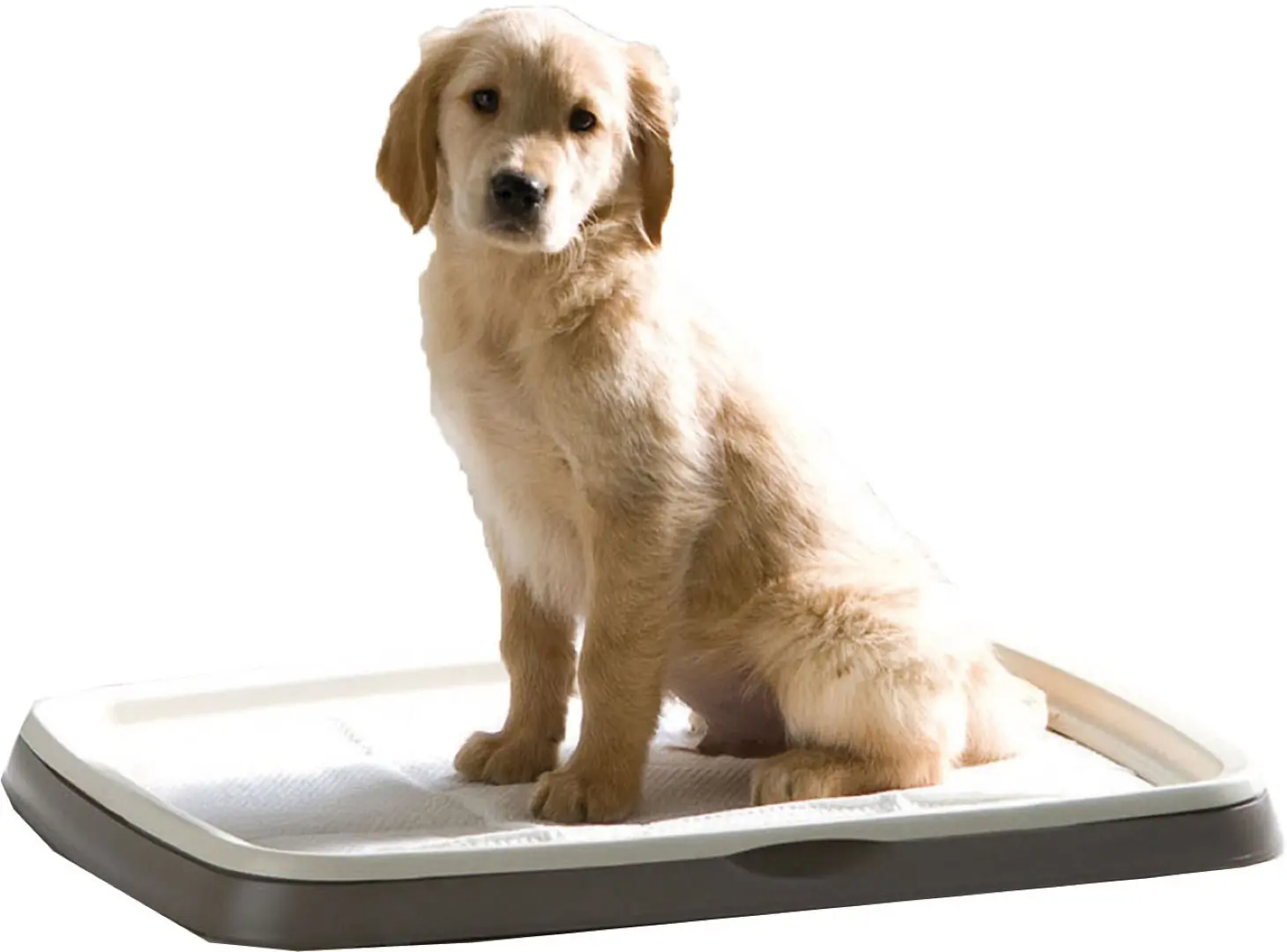 Savic puppy trainer starterkit large Savic Gebr. de Boon